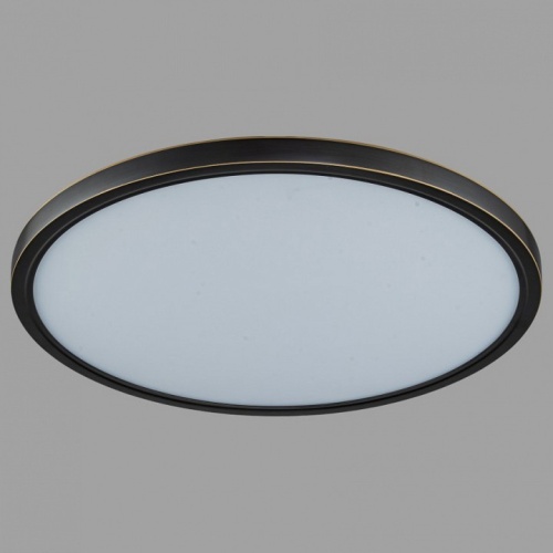 Накладной светильник Belfast Glenmore 8088-5H BL в Нижнем Новгороде фото 6