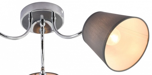 Потолочная люстра Rivoli Alexa Б0059973 в Нижнем Новгороде фото 2