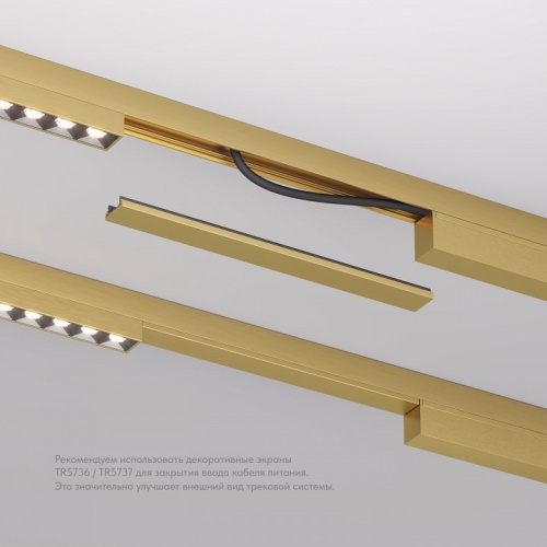 Вставка декоративная Denkirs SHINE BASE TR5736-SB в Нижнем Новгороде фото 5