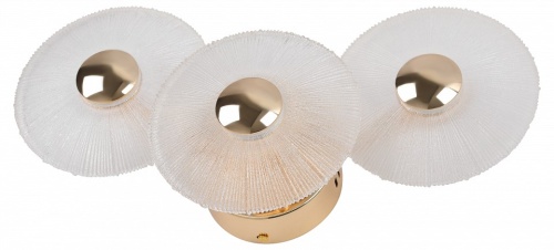 Накладной светильник Rivoli Helena Б0061946 в Нижнем Новгороде фото 4