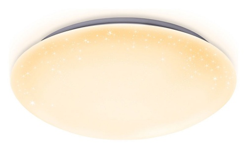 Накладной светильник Ambrella Light FF FF42 в Нижнем Новгороде фото 5