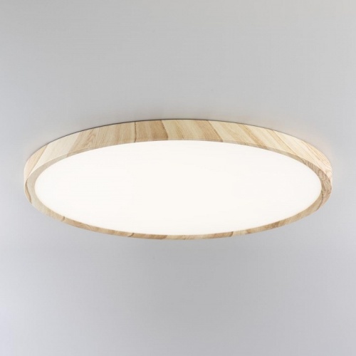 Накладной светильник Citilux Бейсик CL738322V в Нижнем Новгороде фото 8