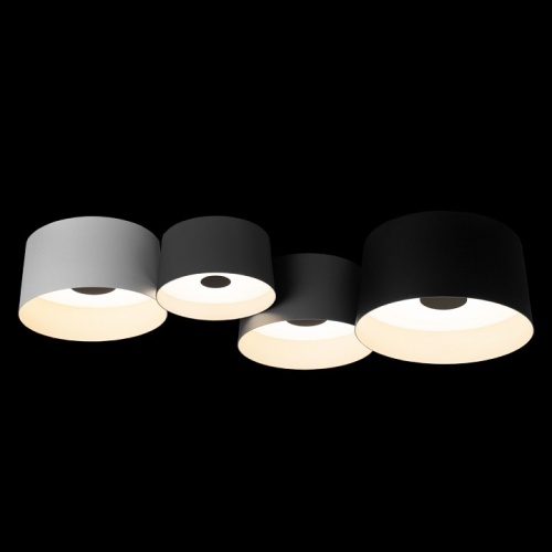 Потолочная люстра Loft it Duo 10360/4 в Нижнем Новгороде фото 3