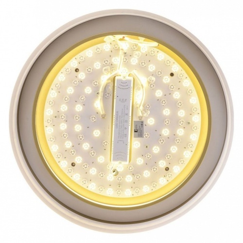 Накладной светильник Zortes Adel ZRS.1200.01 в Нижнем Новгороде фото 8