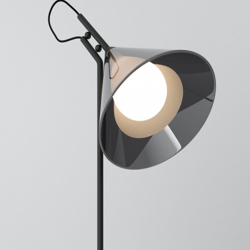 Настольная лампа декоративная Eurosvet Enigma 01186/1 черный в Нижнем Новгороде фото 3