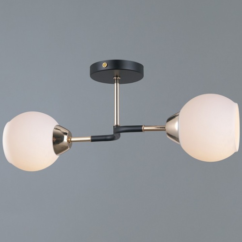 Светильник на штанге ILLUMICO LIBRA IL0689-2CSQ-24 BK FGD LIBRA в Нижнем Новгороде