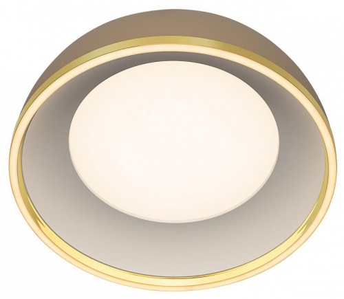 Накладной светильник Citilux FLOOM CL736152 в Нижнем Новгороде фото 2