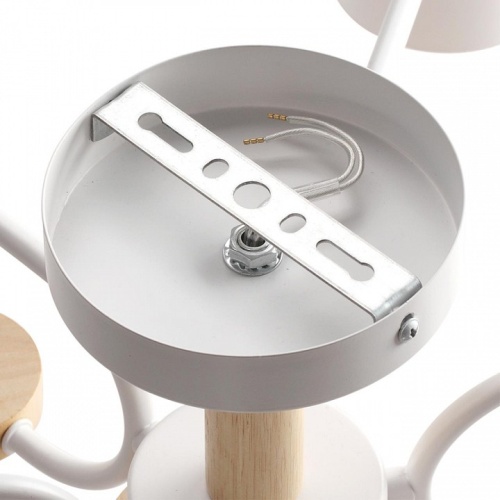 Люстра на штанге Lumion Rondo 8231/6C в Нижнем Новгороде фото 4