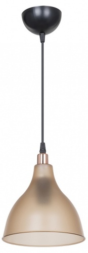 Подвесной светильник TopLight Catharine TL1658H-01AM в Ермолино фото 2