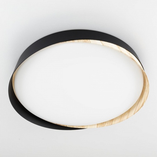 Накладной светильник Citilux BONNY CL754351G в Нижнем Новгороде фото 12