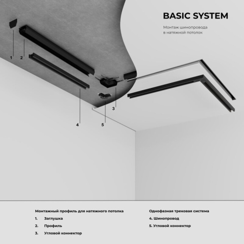 Светильник на штанге Elektrostandard Basic System 85900/01 в Нижнем Новгороде фото 2