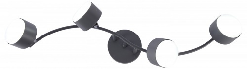 Спот Rivoli Vivien 7077-704 в Нижнем Новгороде фото 2