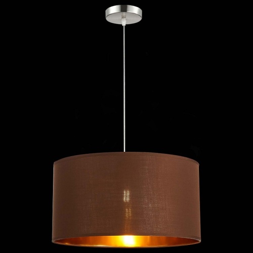 Подвесной светильник EVOLUCE Brescia SLE300573-01 в Нижнем Новгороде фото 3