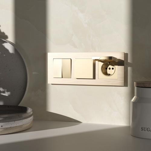 Розетка с заземлением и со шторкой, без рамки с крышкой Werkel шампань W1171211 в Нижнем Новгороде фото 3