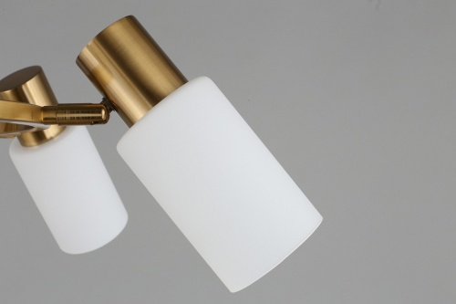 Подвесная люстра Omnilux Ales OML-69103-06 в Нижнем Новгороде фото 5