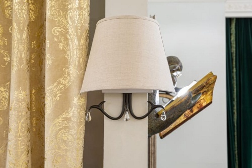 Накладной светильник L'Arte Luce Chalet L17821.03 в Нижнем Новгороде фото 5