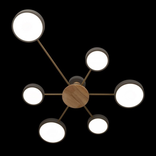 Потолочная люстра Loft it Sunrise 10316/6 Grey в Нижнем Новгороде фото 4