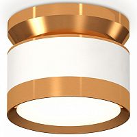 Накладной светильник Ambrella Light XS XS8101060 в Нижнем Новгороде