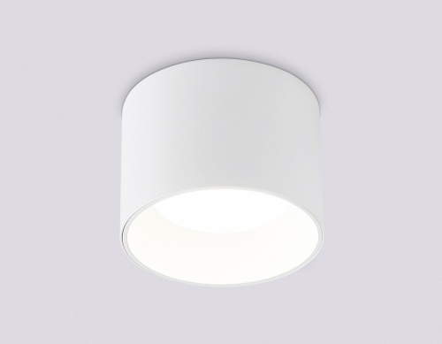 Накладной светильник Ambrella Light TN TN52881 в Нижнем Новгороде фото 7