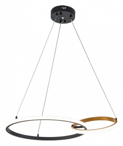 Подвесной светильник Escada Relation 10230/2LED Black/Gold в Похвистнево фото 2