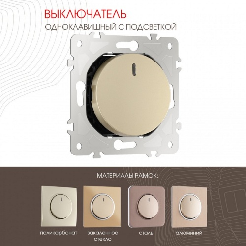 Выключатель одноклавишный с подсветкой без рамки Arte Milano 202 202.31-1.shampan в Нижнем Новгороде фото 7