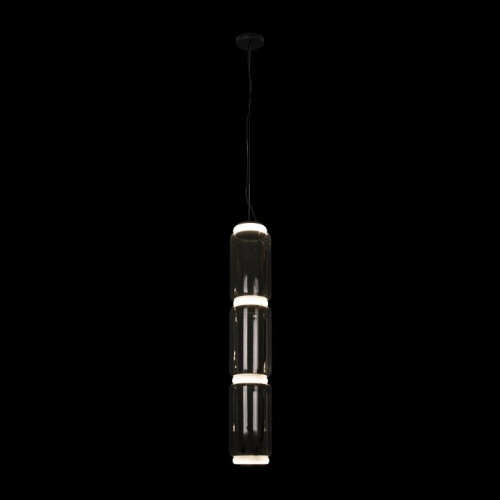 Подвесной светильник Loft it Noctambule 10194/L в Заполярном фото 4