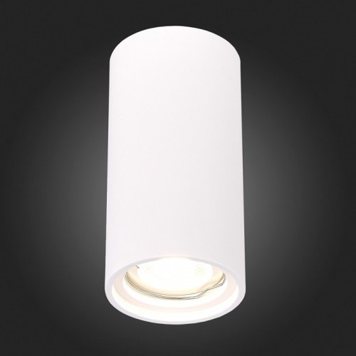 Накладной светильник ST-Luce ST155 Gipsum ST155.502.01 в Нижнем Новгороде фото 2