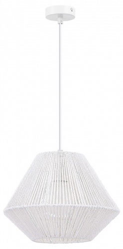 Подвесной светильник EVOLUCE ETTAN SLE6025-503-01 в Нижнем Новгороде фото 5