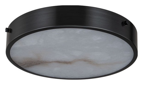 Накладной светильник Belfast Devon 3395-3 BL MB в Нижнем Новгороде