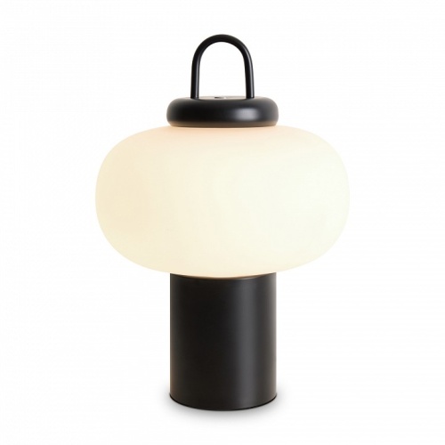 Настольная лампа декоративная Freya Take FR6175TL-L10B в Нижнем Новгороде фото 5