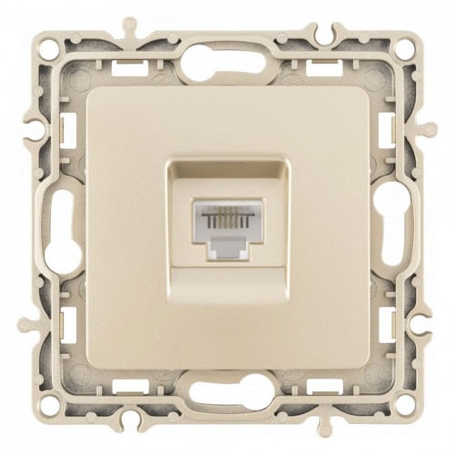 Розетка телефонная RJ-11 без рамки Arte Milano am-217 217.51-1.shampan в Нижнем Новгороде