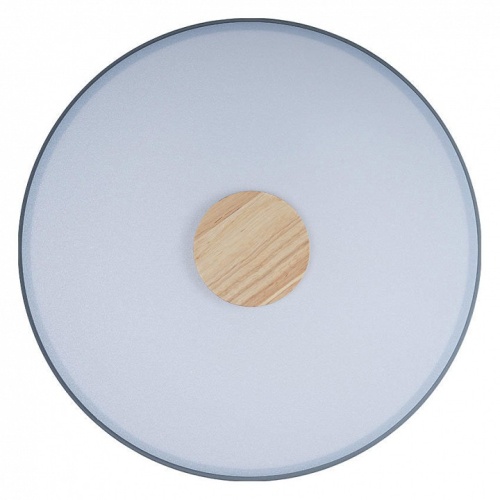 Накладной светильник Loft it Axel 2 10003/24 Grey в Нижнем Новгороде фото 4