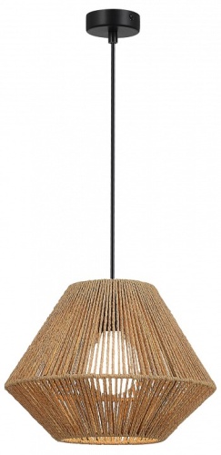 Подвесной светильник EVOLUCE ETTAN SLE6025-603-01 в Нижнем Новгороде фото 8