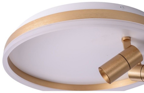 Накладной светильник Zortes Raizy ZRS.1888.02 в Нижнем Новгороде фото 5