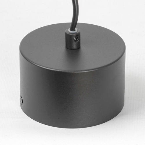 Подвесной светильник Lussole Levy LSP-8917 в Нижнем Новгороде фото 3