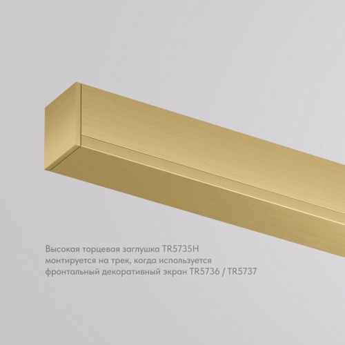 Заглушка для трека Denkirs SHINE BASE TR5735H-SB в Нижнем Новгороде фото 4