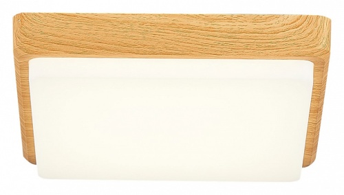 Накладной светильник EVOLUCE Taddio SLE200202-01 в Нижнем Новгороде фото 8