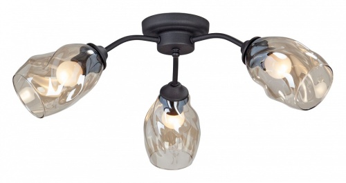 Потолочная люстра Vitaluce 4929 V4929-1/3PL в Нижнем Новгороде