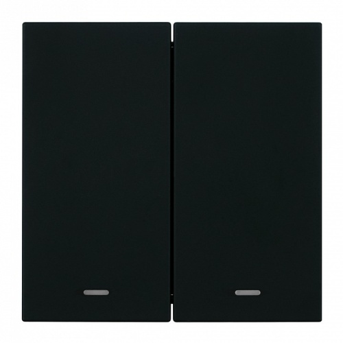 Выключатель двухклавишный с подсветкой без рамки Stekker Мия 50446 в Нижнем Новгороде