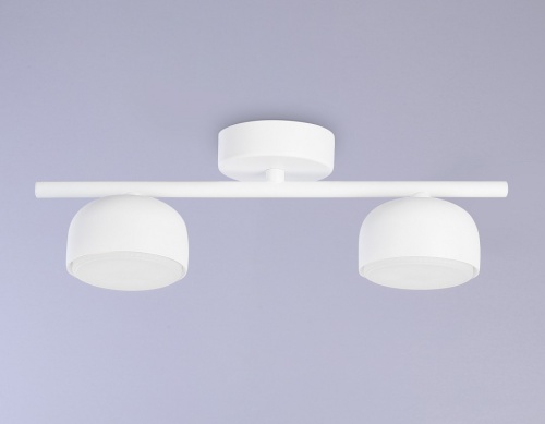 Накладной светильник Ambrella Light TN TN71022 в Нижнем Новгороде фото 4