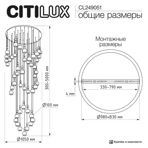 Подвесная люстра Citilux LASS CL249041 в Нижнем Новгороде фото 3