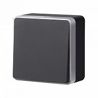 Выключатель проходной одноклавишный Werkel Gallant (черный с серебром) W5012034 в Нижнем Новгороде