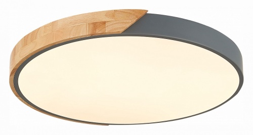 Накладной светильник EVOLUCE Festa SLE200972-01 в Нижнем Новгороде фото 5