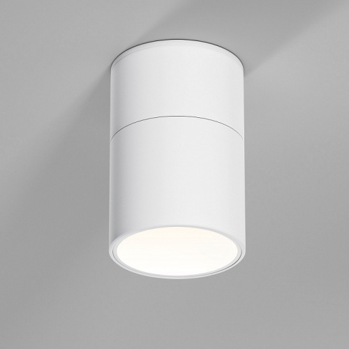 Накладной светильник Elektrostandard Rolly a067487 в Нижнем Новгороде фото 5