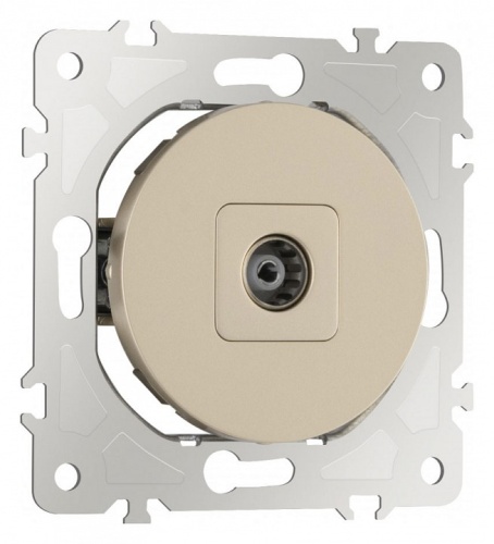 ТВ-розетка без рамки Arte Milano am-202 202.43-1.shampan в Нижнем Новгороде