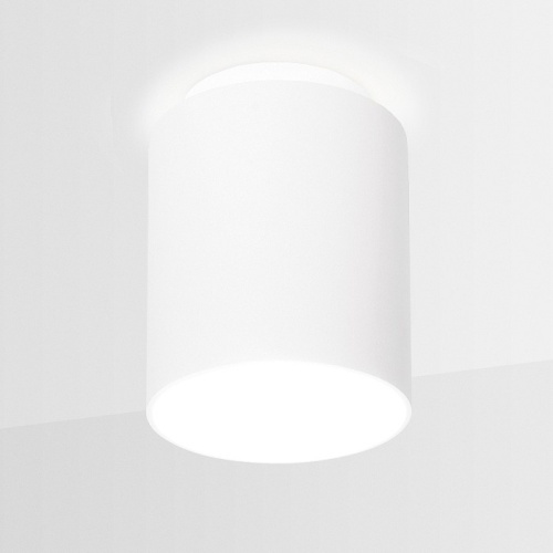 Накладной светильник Ambrella Light TN TN260 в Нижнем Новгороде фото 3