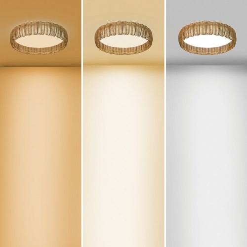 Накладной светильник Mantra Kilimanjaro 8194 в Нижнем Новгороде фото 4