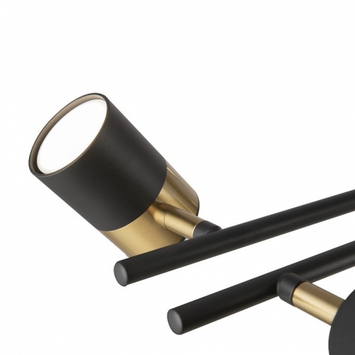 Люстра на штанге Freya Enzo FR5201PL-10B в Нижнем Новгороде фото 5