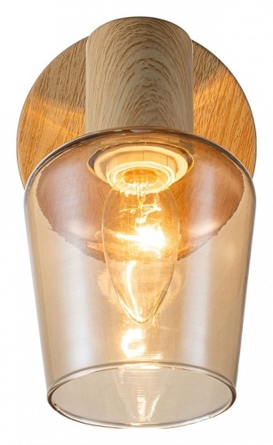 Спот Escada Woody 691/1A в Нижнем Новгороде фото 5