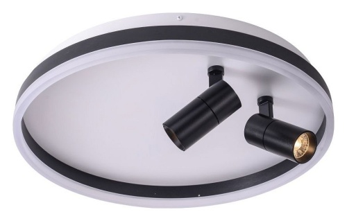 Накладной светильник Zortes Raizy ZRS.1888.01 в Нижнем Новгороде фото 6